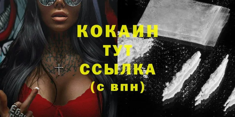 Cocaine Fish Scale  Вязьма 